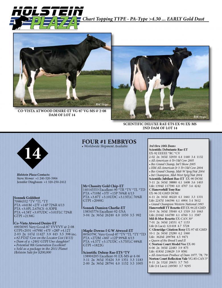 Datasheet for GOLD DUST x Co-Vista Atwood Desire