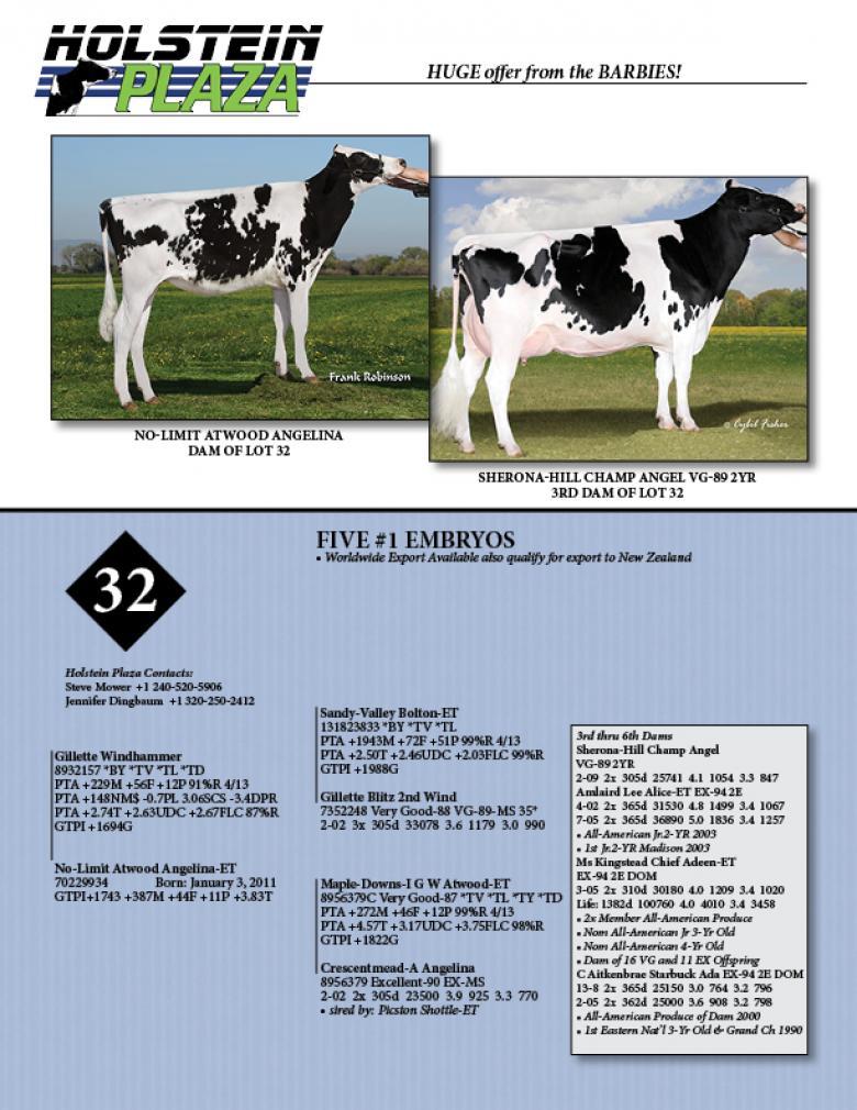 Datasheet for WINDHAMMER x No-Limit Atwood Angelina