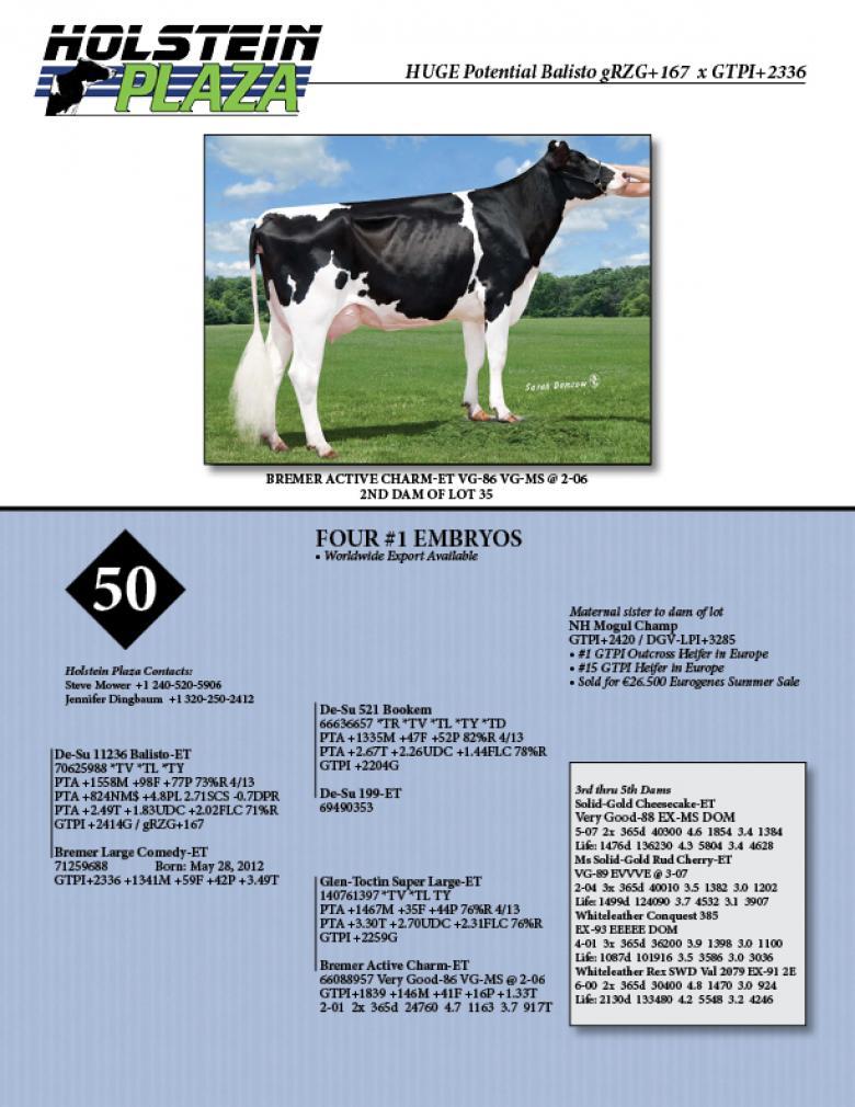 Datasheet for BALISTO x Bremer Large Comedy
