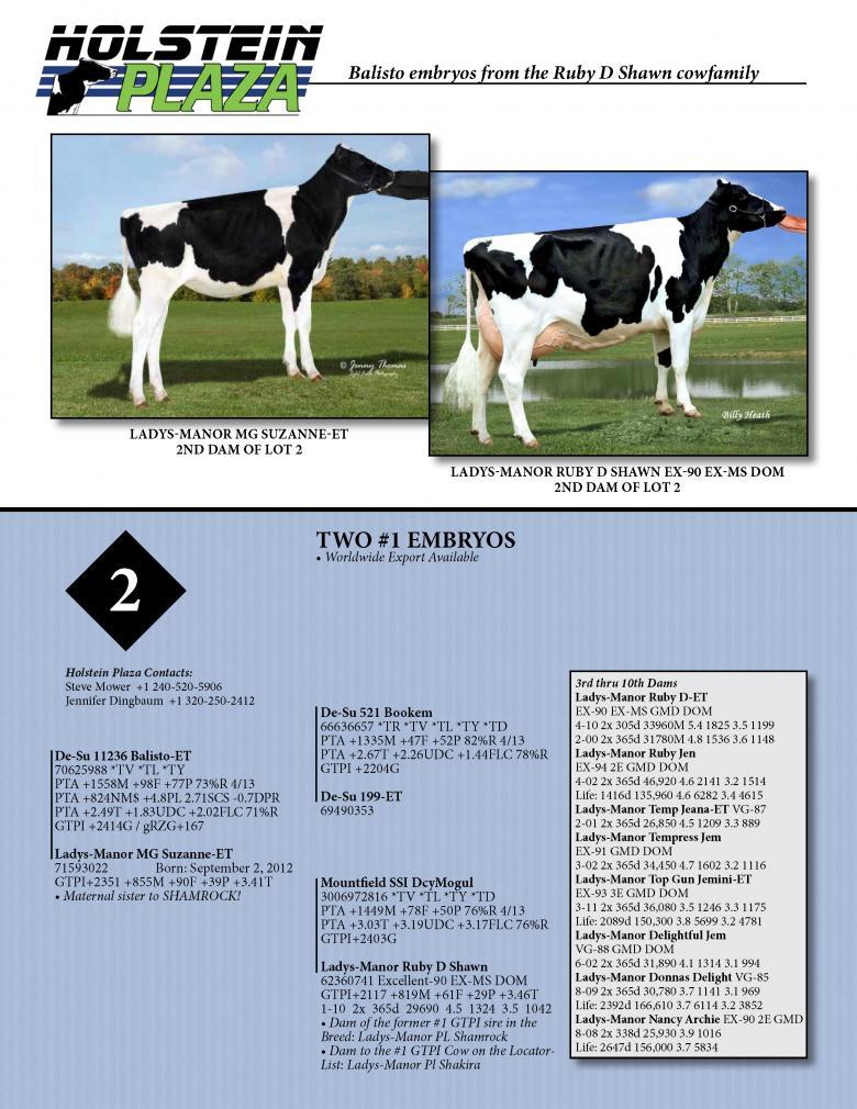 Datasheet for BALISTO x Ladys-Manor MG Suzanne