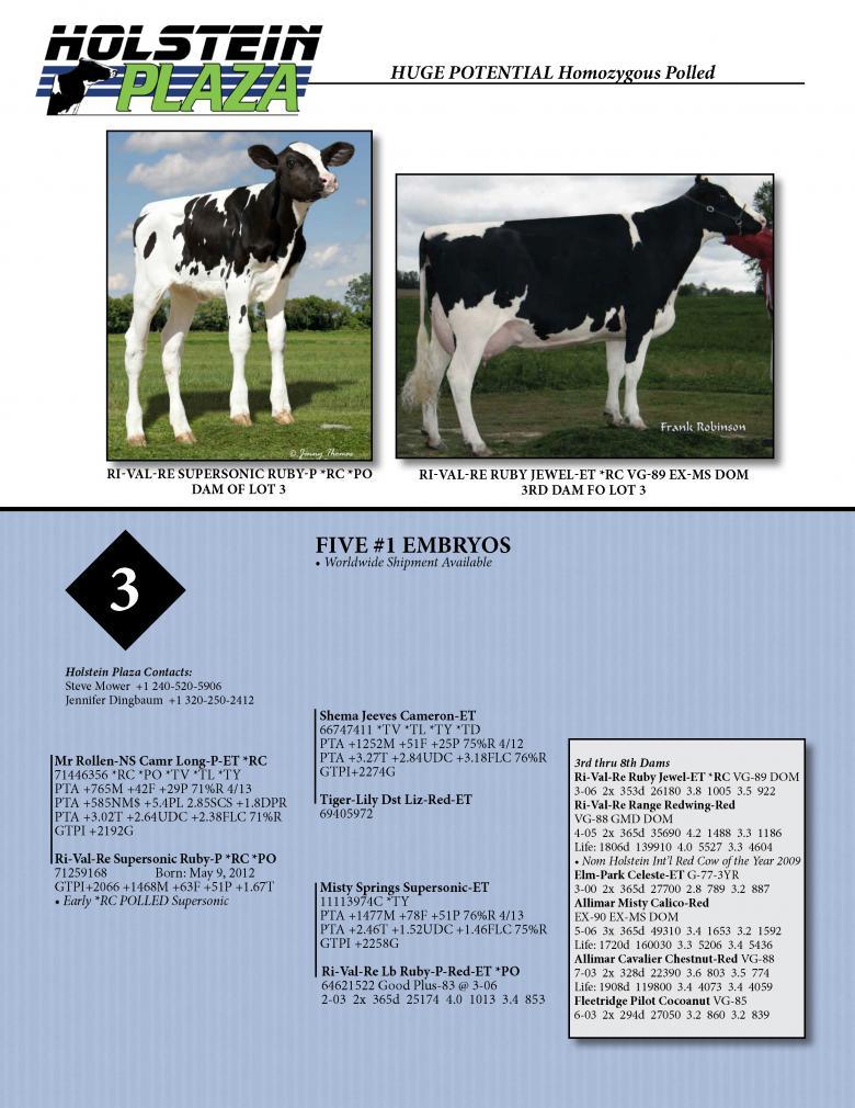 Datasheet for LONG-P x Ri-Val-Re Supersonic Ruby-P