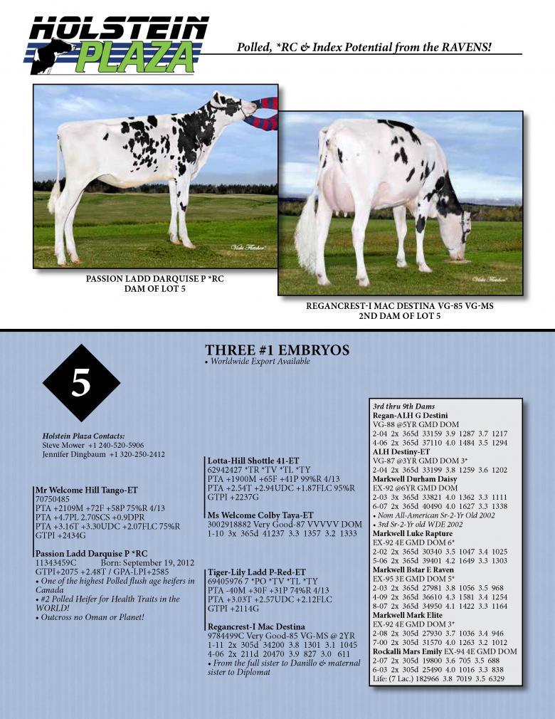 Datasheet for TANGO x Passion Ladd Darquise-P *RC