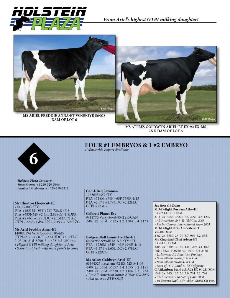 Datasheet for ELOQUENT x Ms Ariel Freddie Anna