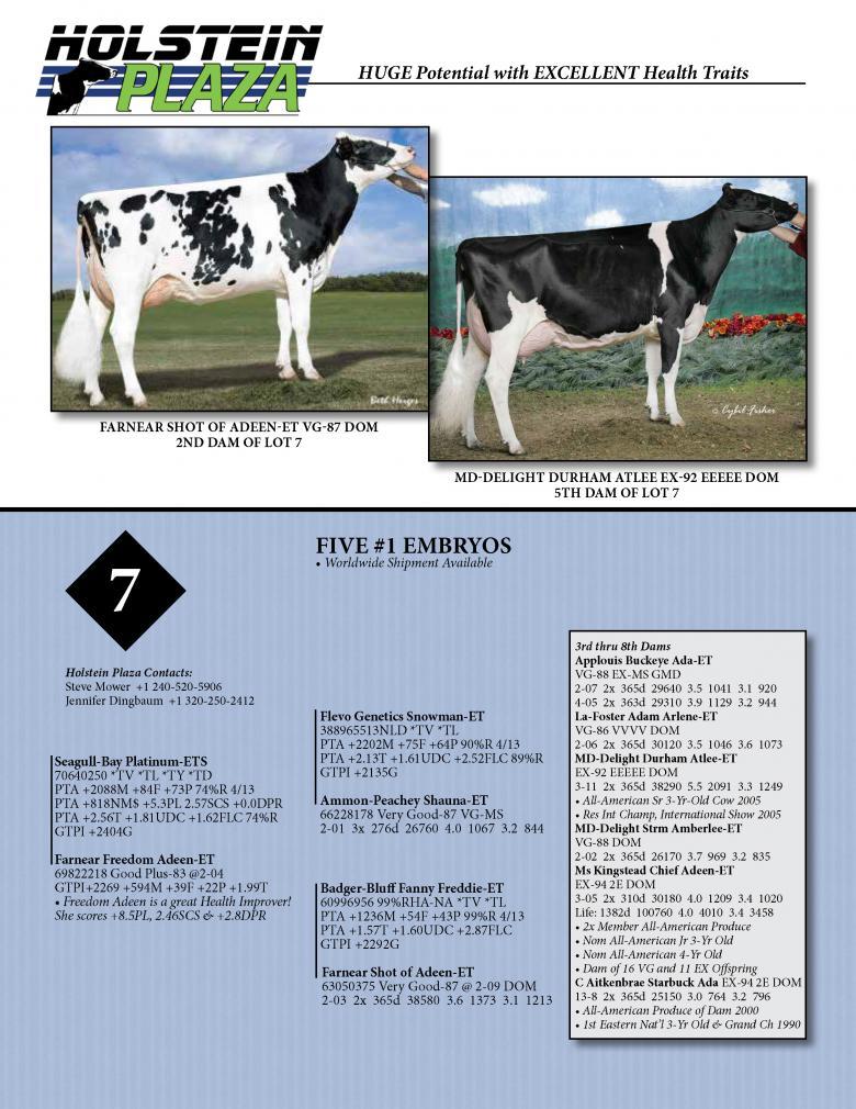 Datasheet for PLATINUM x Farnear Freedom Adeen