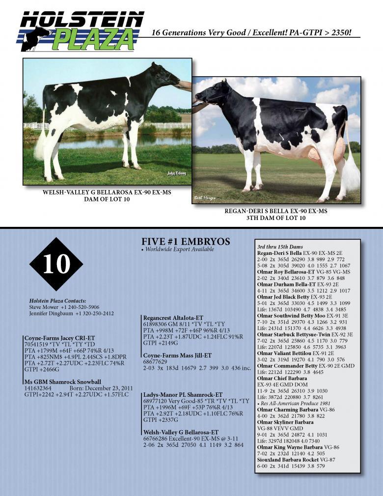 Datasheet for JACEY x Ms GBM Shamrock Snowball