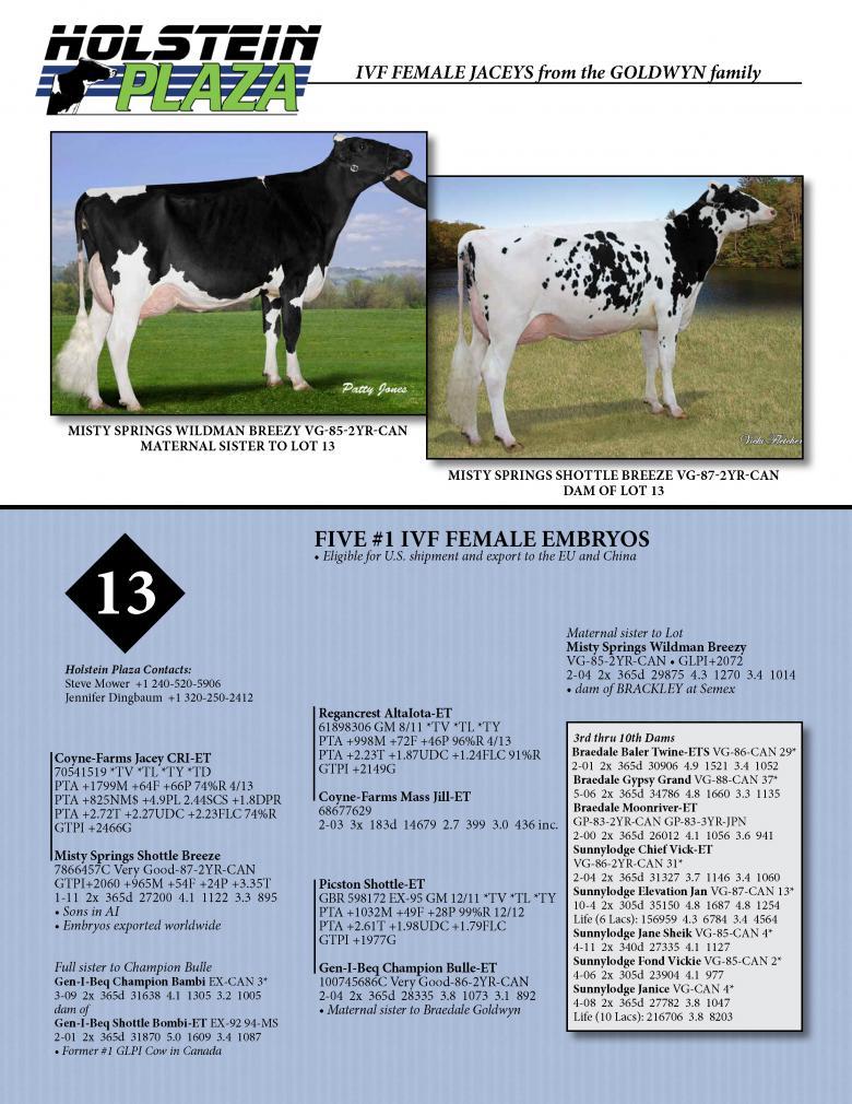 Datasheet for IVF FEMALE JACEY x Misty-Springs Shottle Breeze