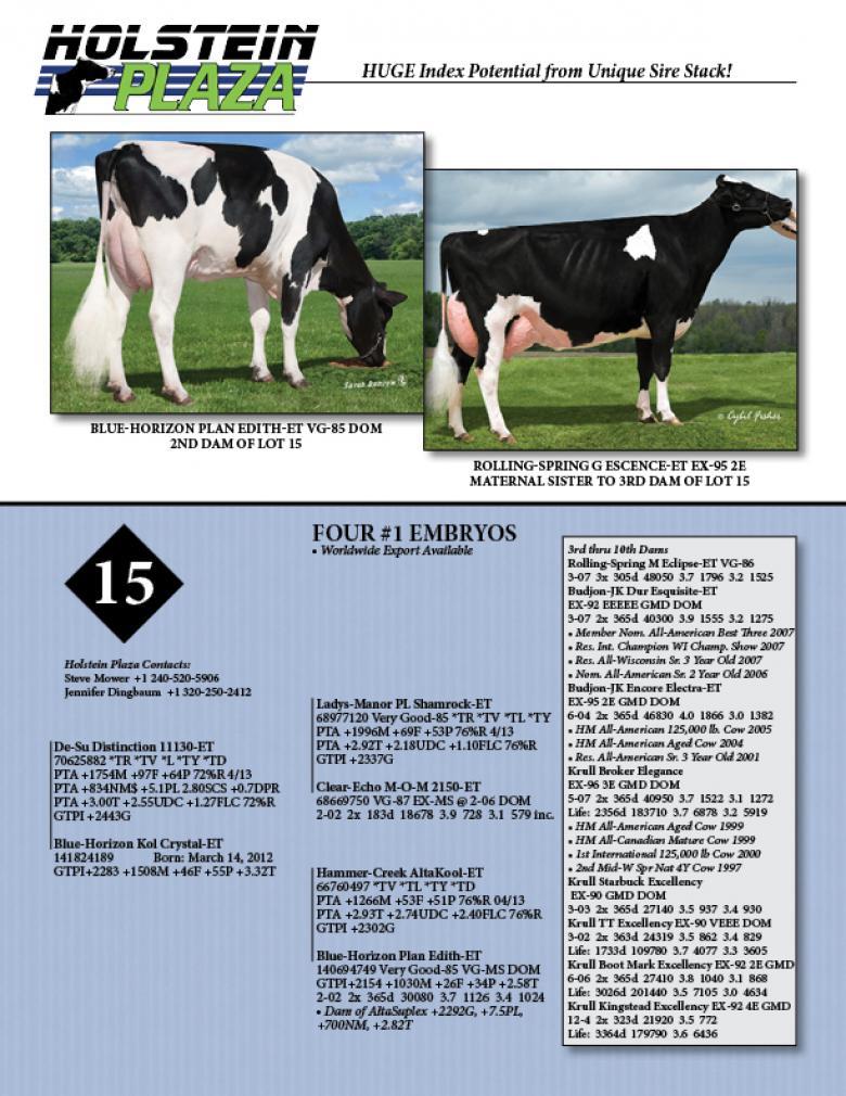 Datasheet for DISTINCTION x Blue-Horizon Kol Crystal