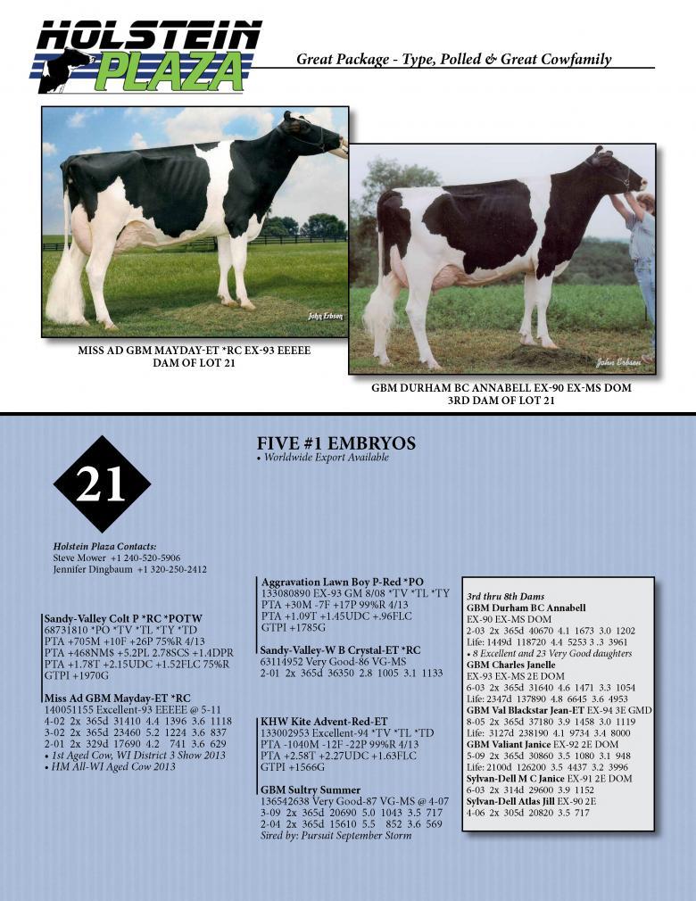 Datasheet for COLT-P x Miss Ad GBM Mayday *RC