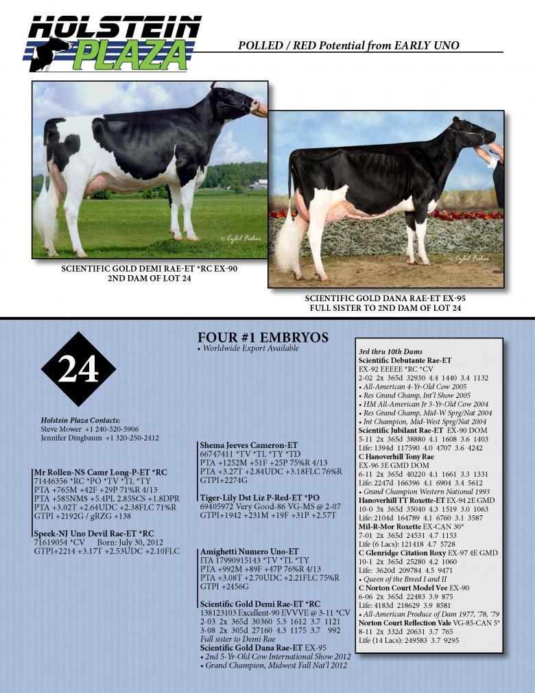 Datasheet for LONG-P x Speek-NJ Uno Devil Rae *RC