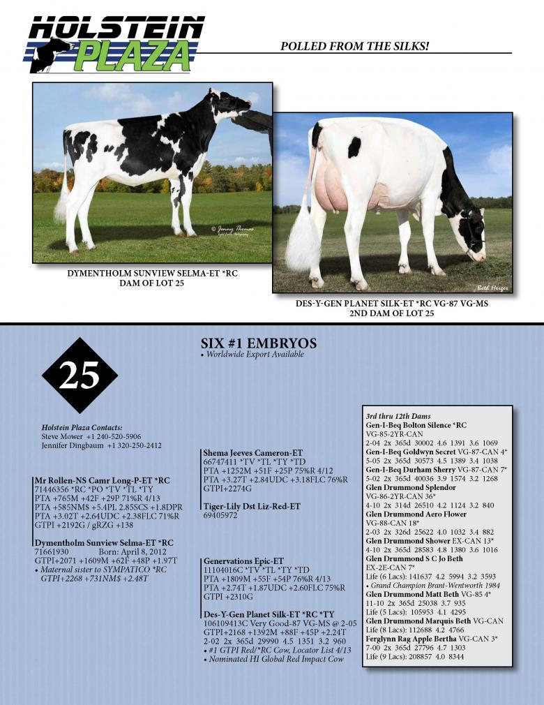 Datasheet for LONG-P x Dymentholm Sunview Selma *RC