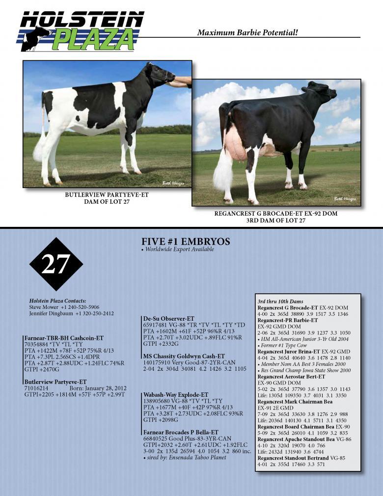 Datasheet for CASHCOIN x Butlerview Partyeve