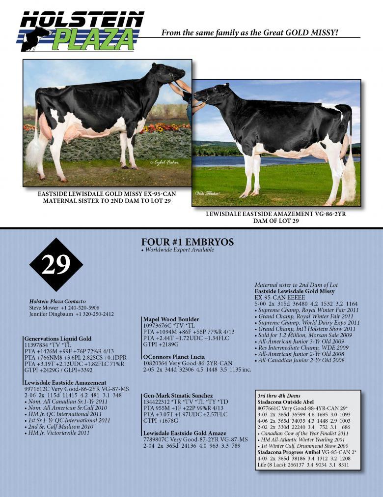 Datasheet for LIQUID GOLD x Lewisdale Eastside Amazement