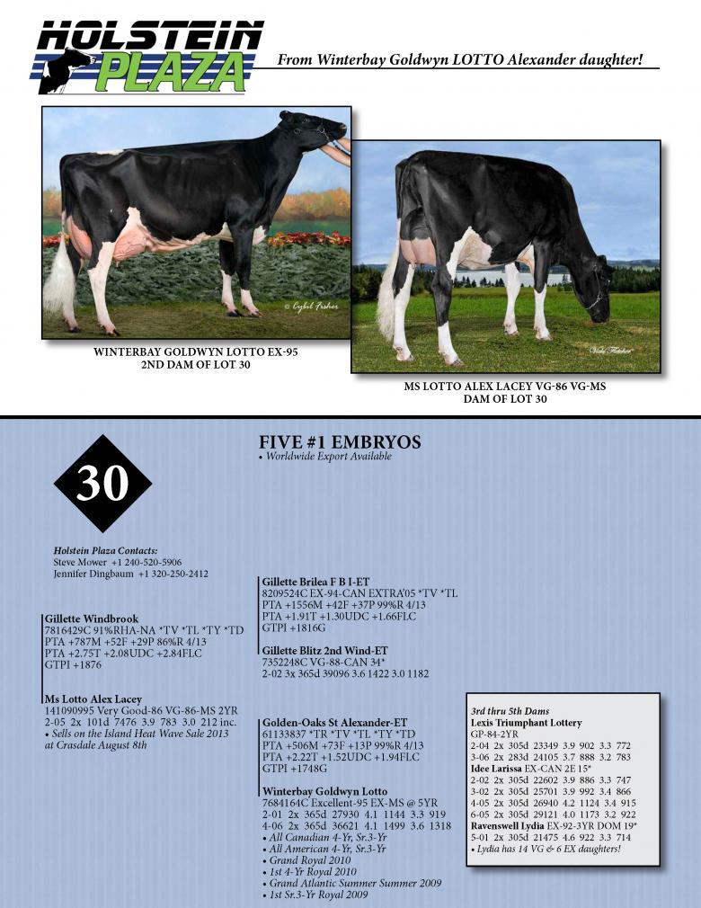 Datasheet for WINDBROOK x Ms Lotto Alex Lacey