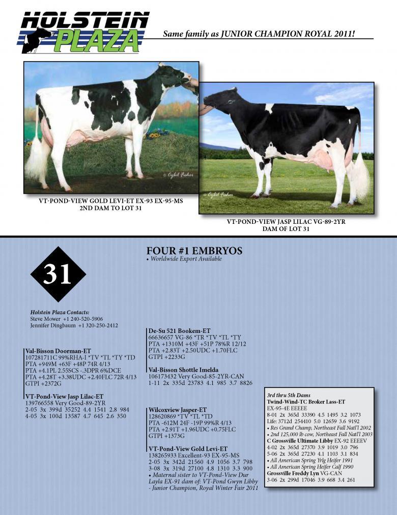 Datasheet for DOORMAN x Vt-Pond-View Jasp Lilac