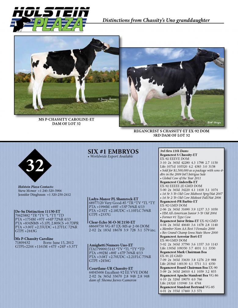 Datasheet for DISTINCTION x Ms P-Chassity Caroline