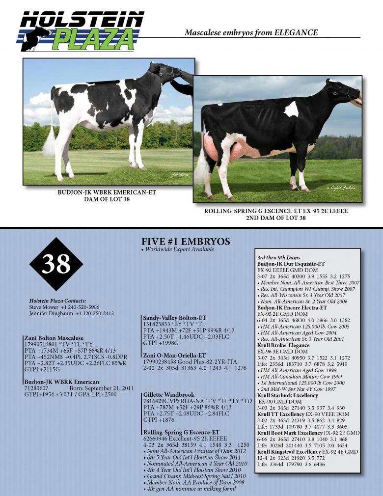 Datasheet for MASCALESE x Budjon-JK WBRK Emerican