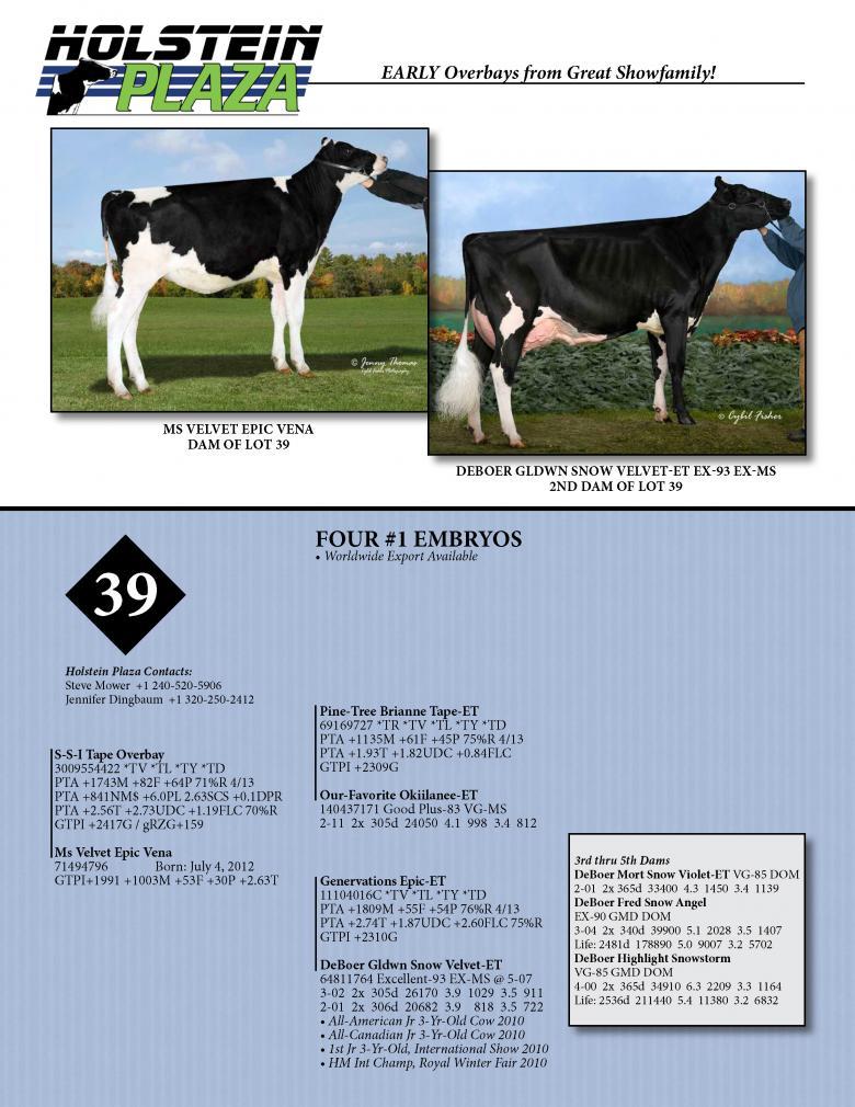 Datasheet for OVERBAY x Ms Velvet Epic Vena