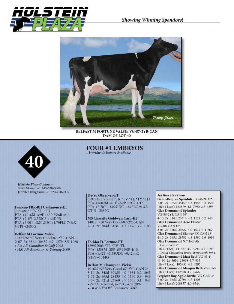 Datasheet for CASHMONEY x Belfast M Fortune Valsie