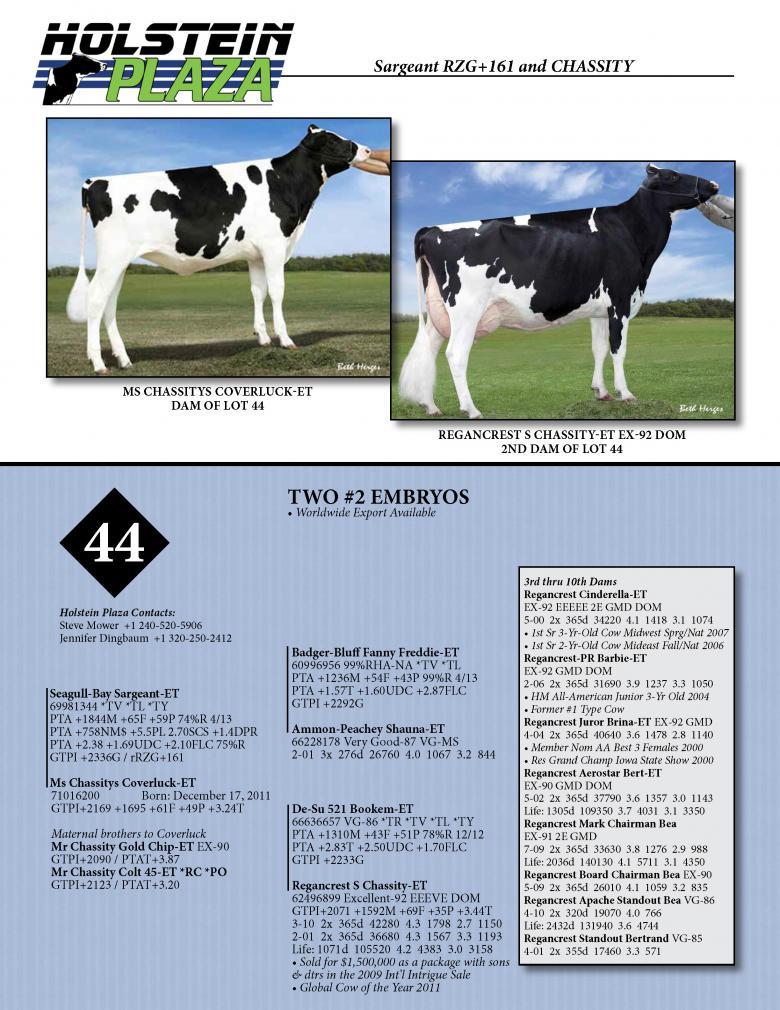 Datasheet for SARGEANT x Ms Chassity Coverluck