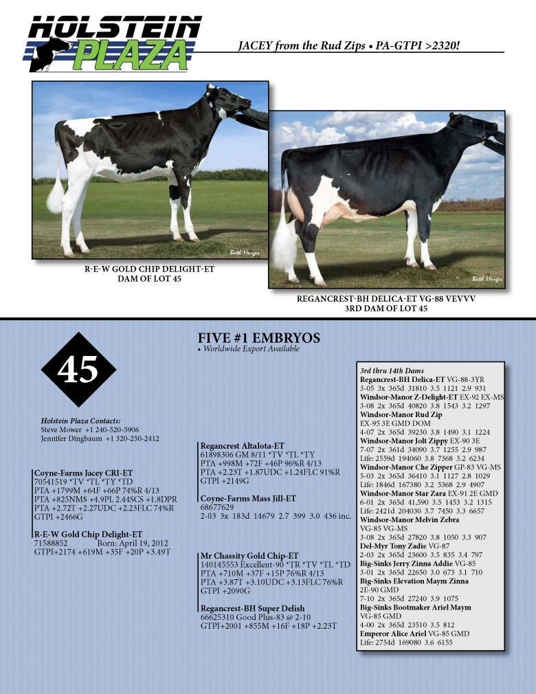 Datasheet for JACEY x R-E-W Gold Chip Delight