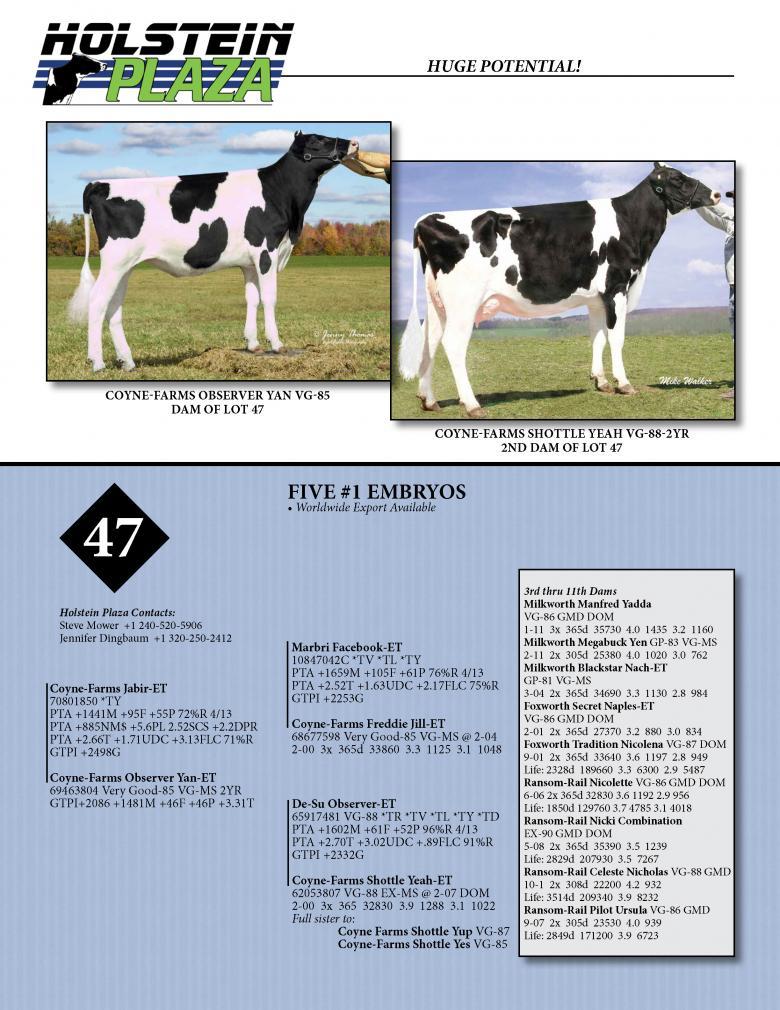 Datasheet for JABIR x Coyne-Farms Observer Yan
