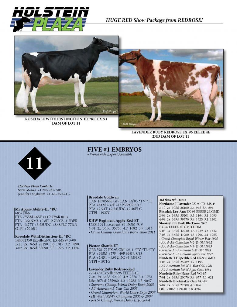Datasheet for ABILITY *RC x Rosedale WithDistinction *RC