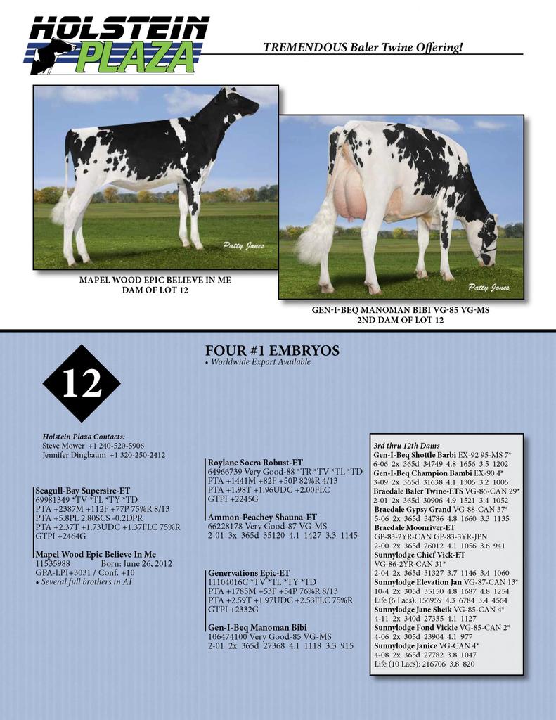 Datasheet for SUPERSIRE x Mapel Wood Epic Believe In Me