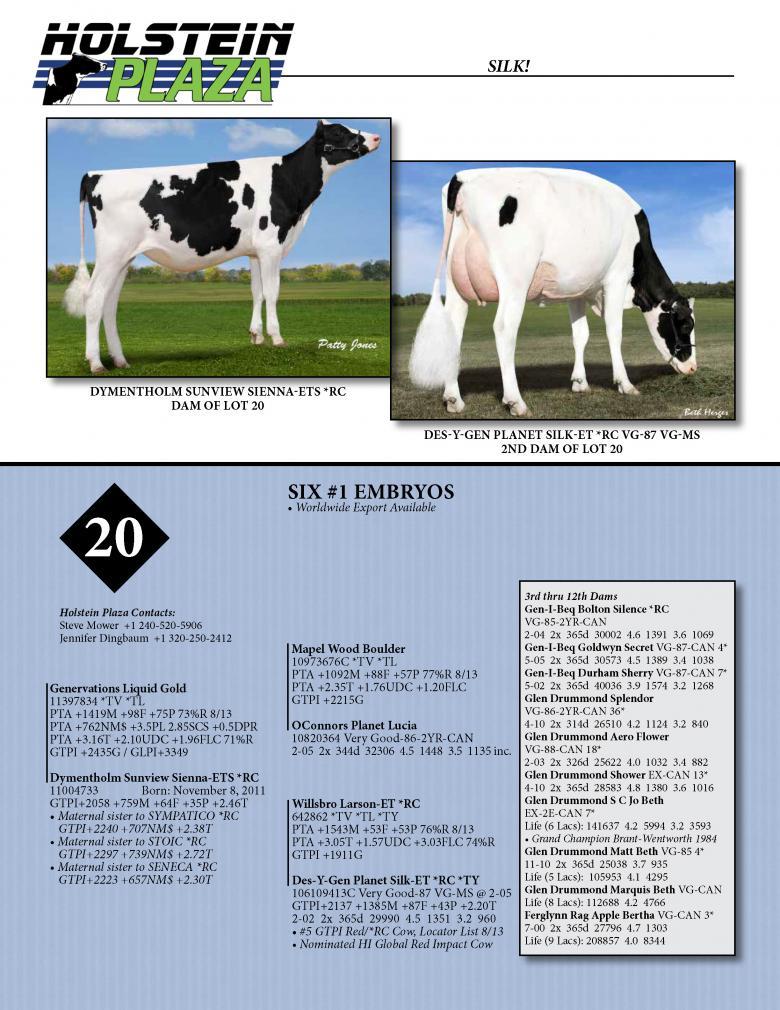 Datasheet for LIQUID GOLD x Dymentholm Sunview Sienna *RC