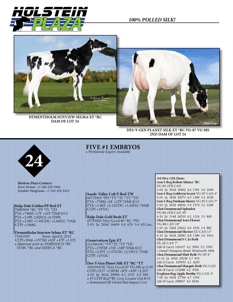 Datasheet for GOLDEN-PP x Dymentholm Sunview Selma *RC