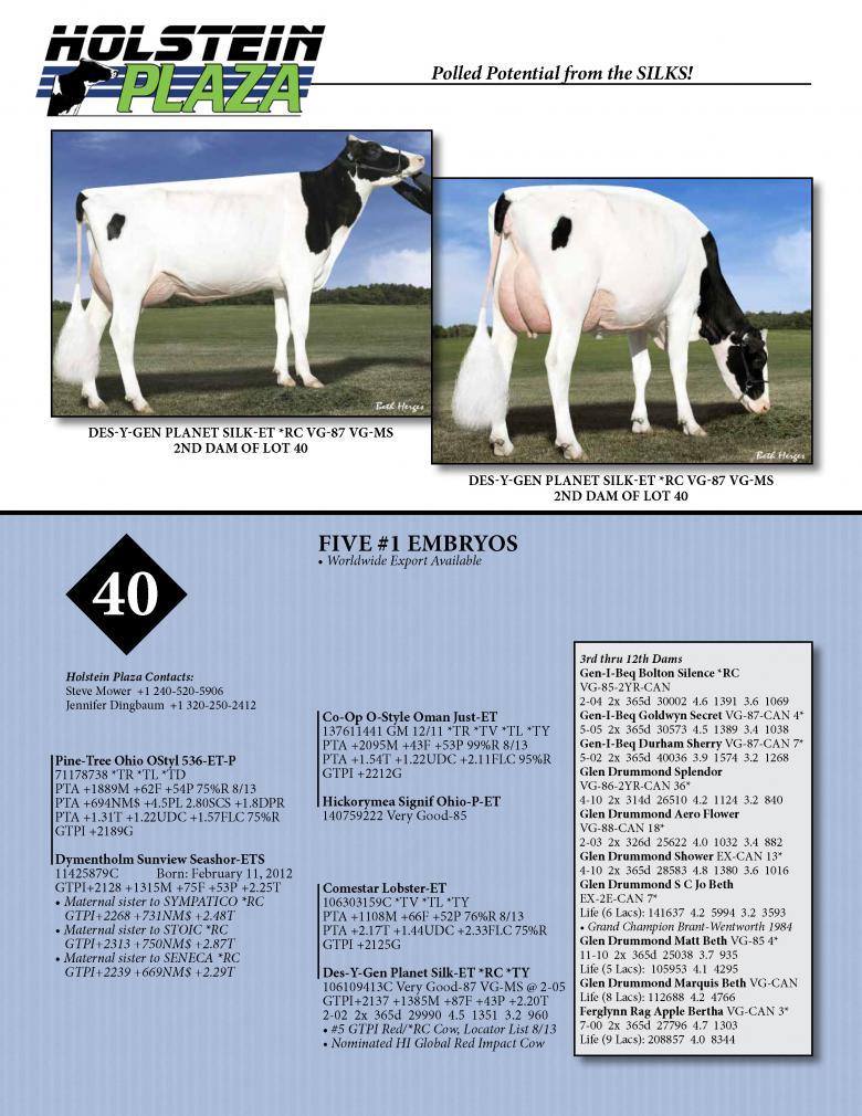 Datasheet for OHIO STYLE-P x Dymentholm Sunview Lobster Seashor