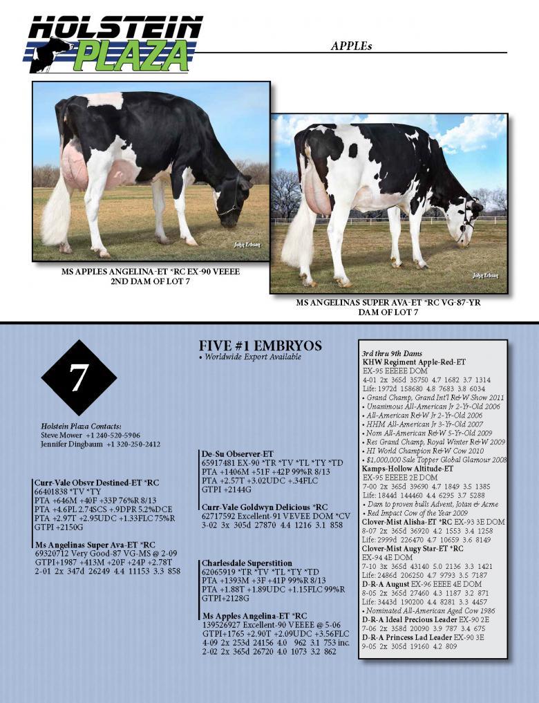 Datasheet for DESTINED *RC x Ms Angelinas Super Ava *RC