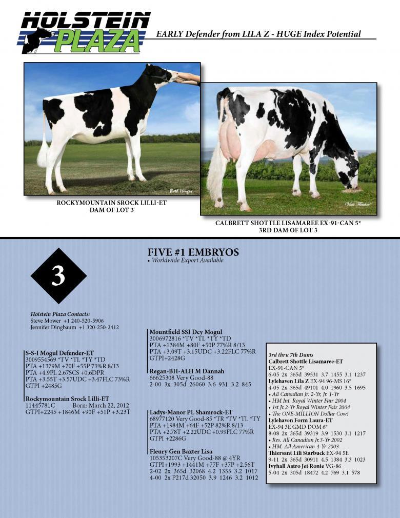 Datasheet for DEFENDER x Rockymountain Srock Lilli-ET
