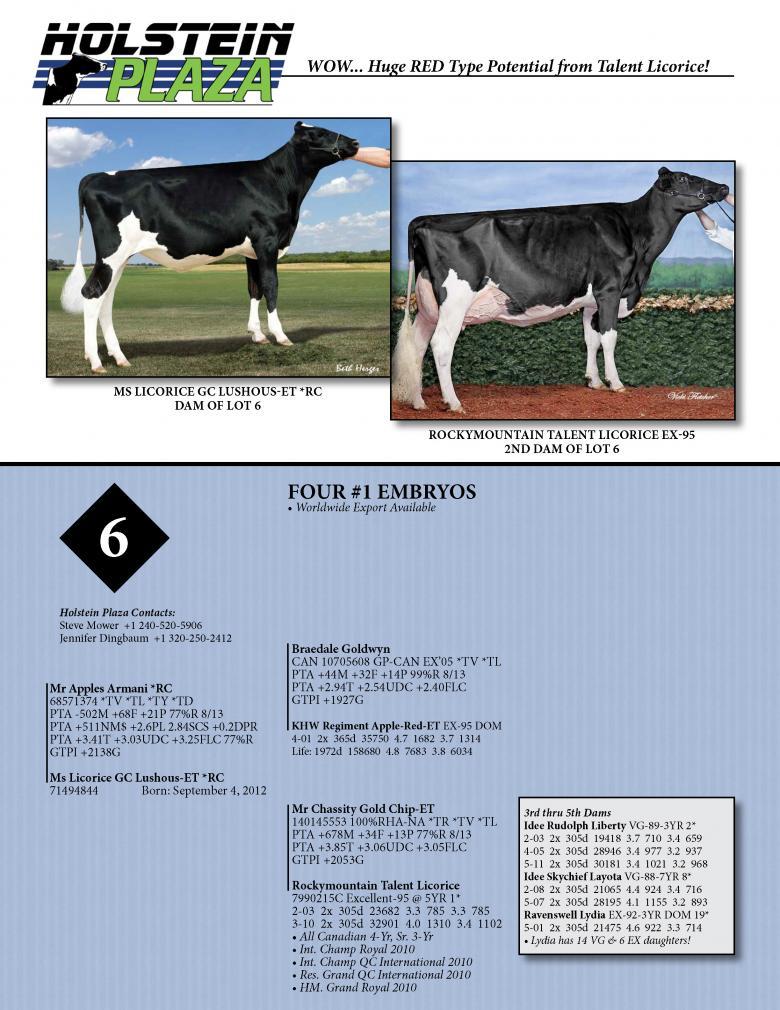 Datasheet for ARMANI *RC x Ms Licorice GB Lushous *RC