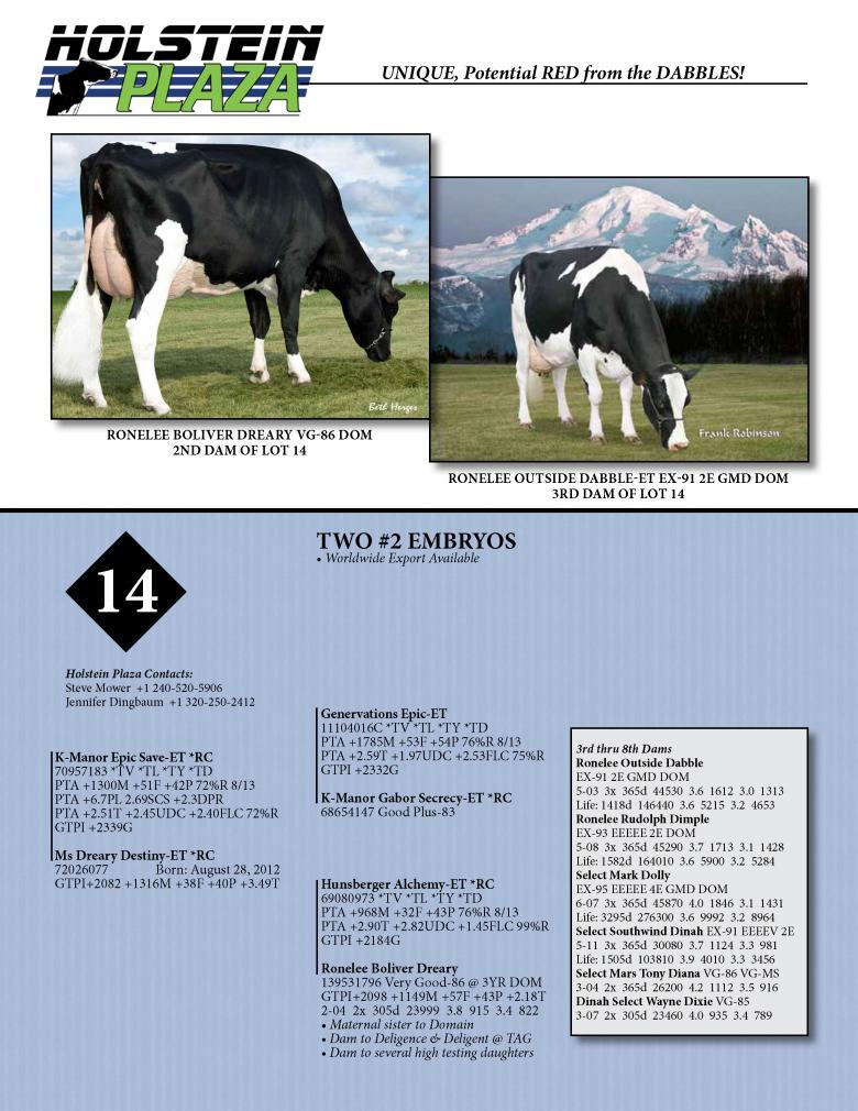 Datasheet for SAVE *RC x Ms Dreary Destiny-ET *RC