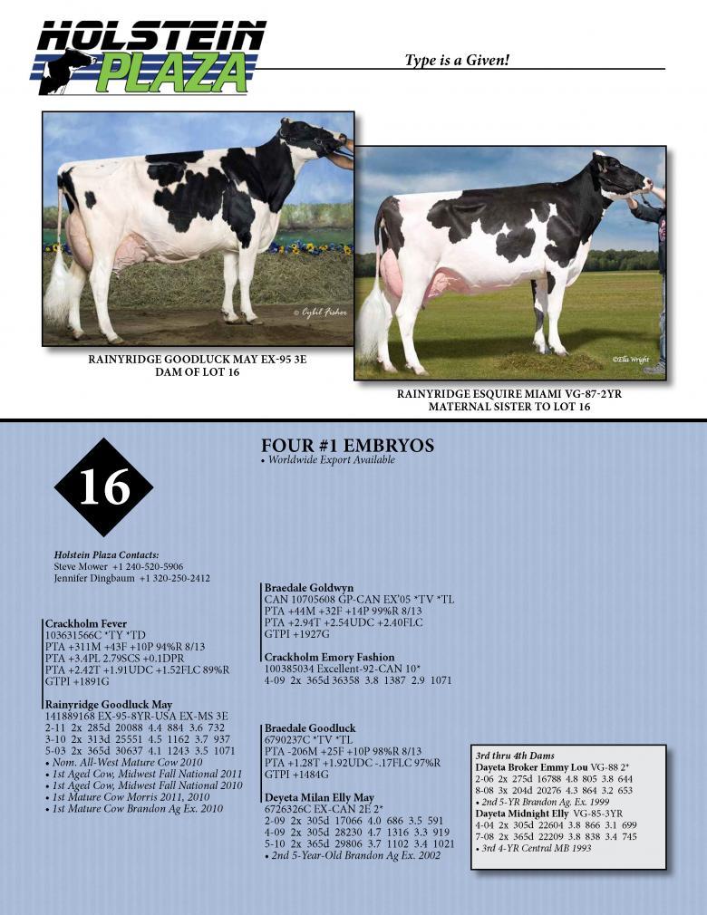Datasheet for FEVER x Rainyridge Goodluck May