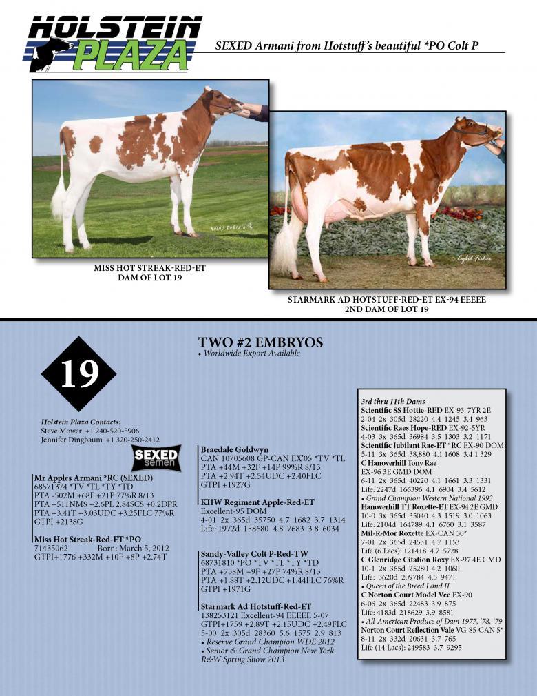 Datasheet for SEXED ARMANI *RC x Miss Hot Streak-Red *PO