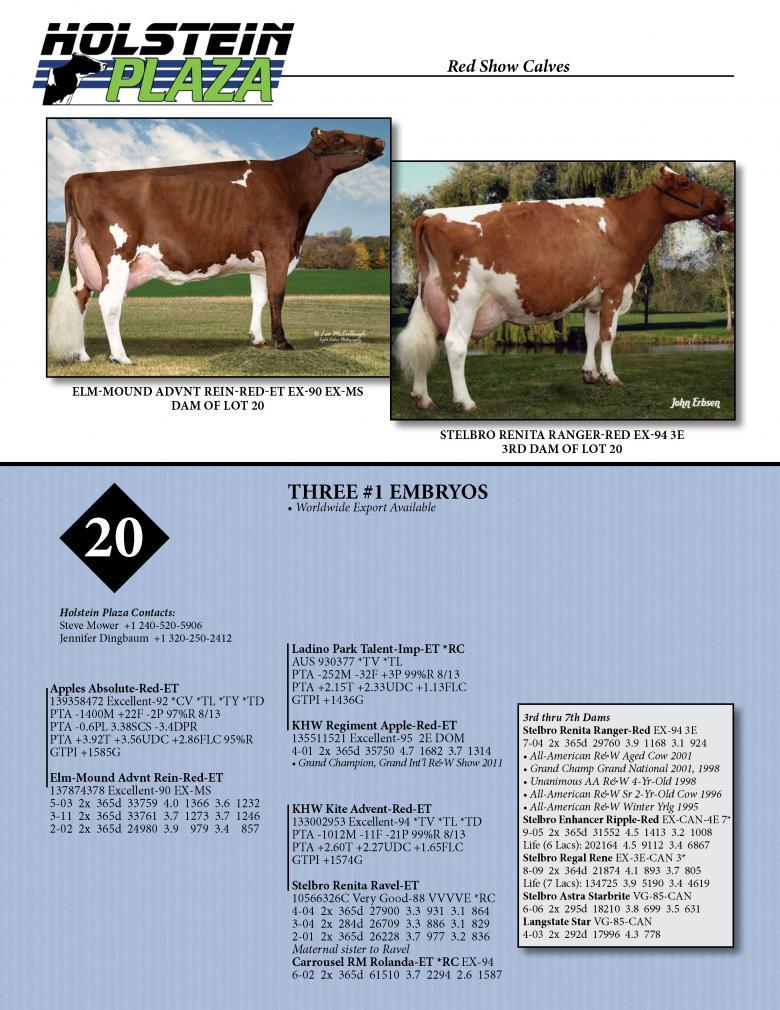 Datasheet for ABSOLUTE x Elm-Mound Advnt Rein-Red-ET