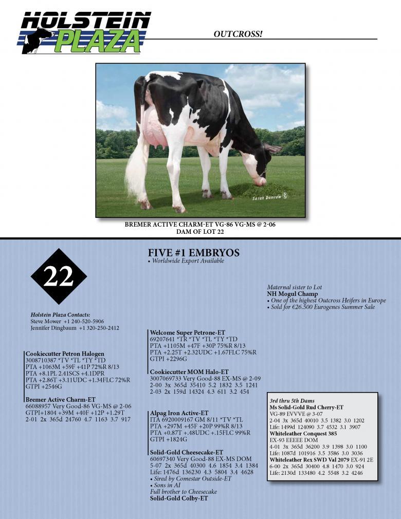 Datasheet for HALOGEN x Bremer Active Charm-ET