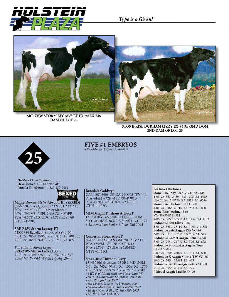 Datasheet for SEXED ATWOOD x SRF-ZWB Storm Legacy