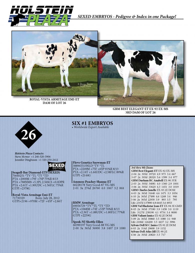 Datasheet for SEXED DIAMOND x Royal-Vista Armitage Emi