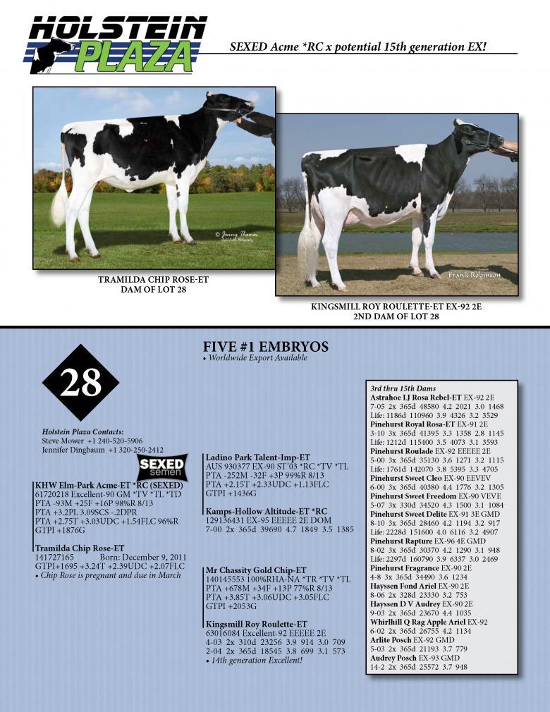 Datasheet for SEXED ACME *RC x Tramilda Chip Rose