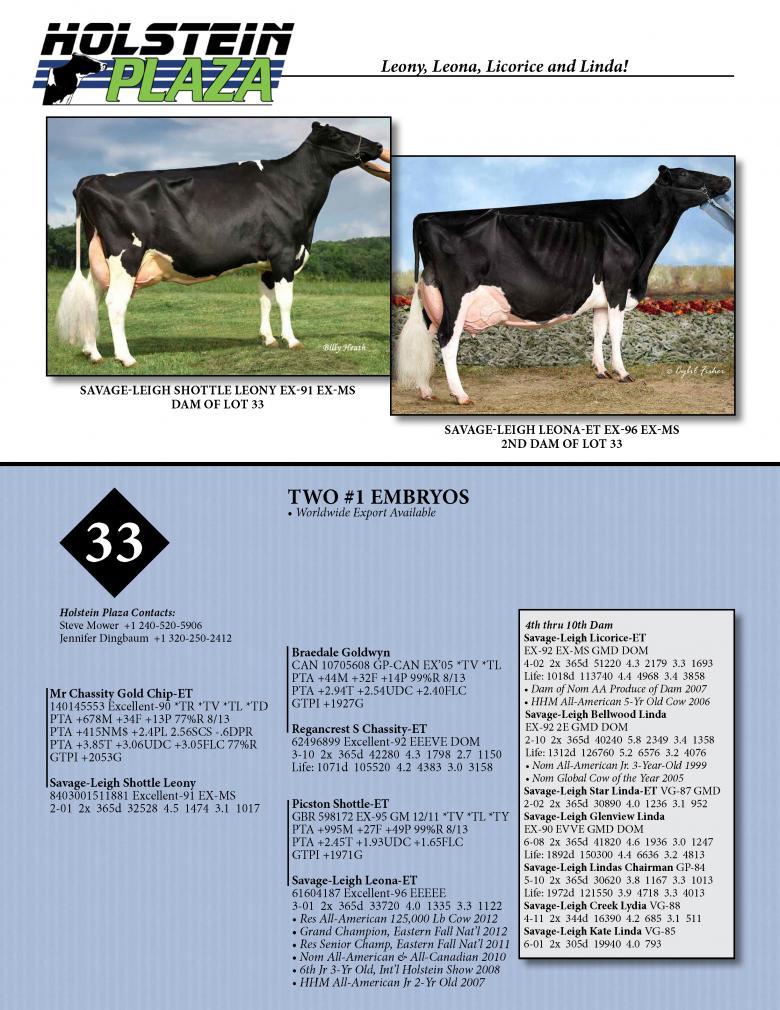 Datasheet for GOLD CHIP x Savage-Leigh Shottle Leony