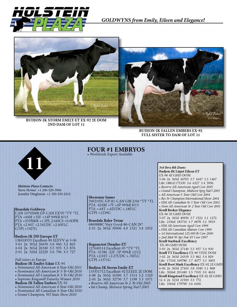 Datasheet for GOLDWYN x Budjon-JK DD Europe
