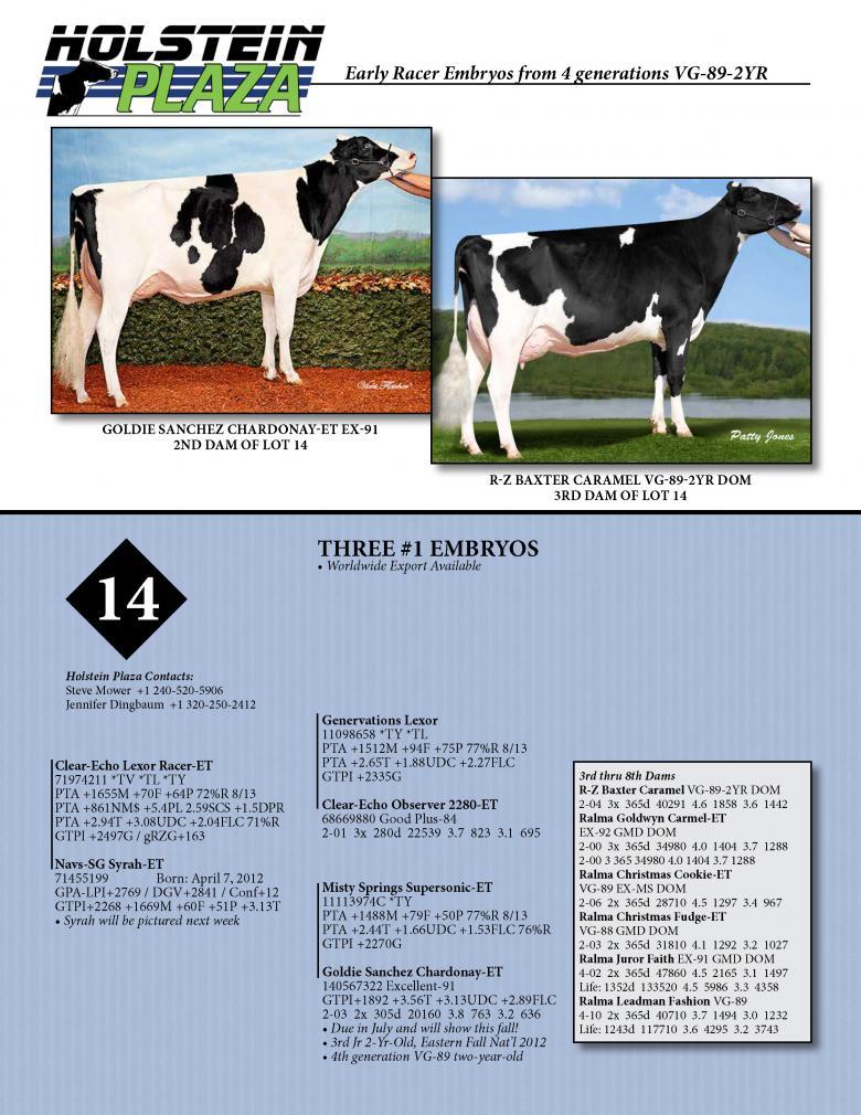 Datasheet for RACER x Navs-SG Syrah