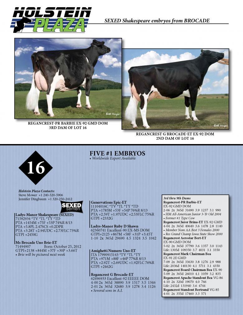 Datasheet for SEXED SHAKESPEARE x Ms Brocade Uno Brie