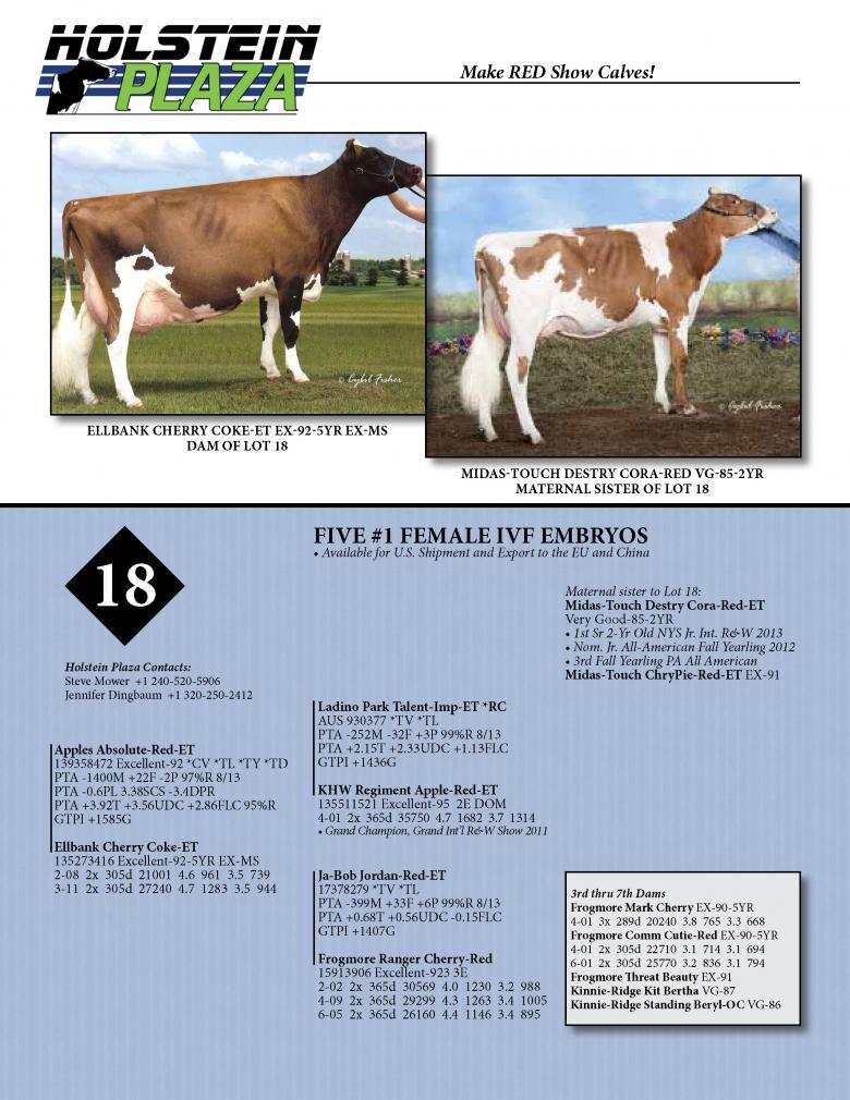 Datasheet for IVF FEMALE ABSOLUTE x Ellbank Cherry Coke-Red