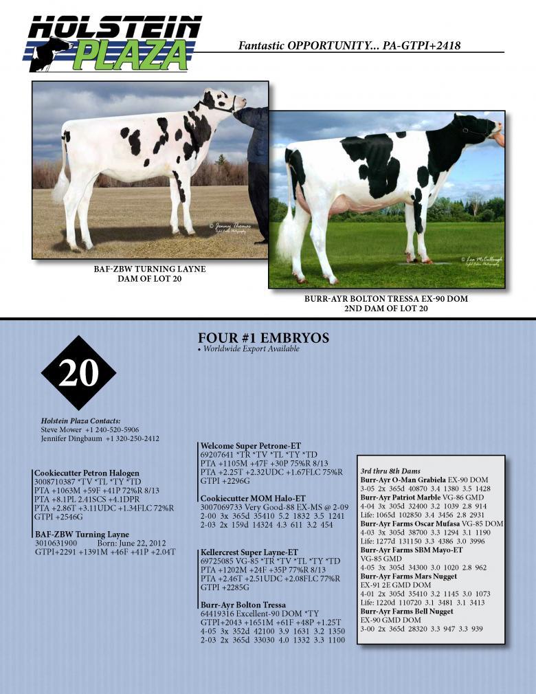 Datasheet for HALOGEN x BAF-ZBW Turning Layne