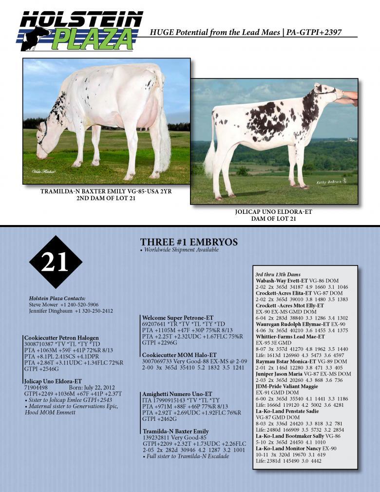 Datasheet for HALOGEN x Jolicap Uno Eldora