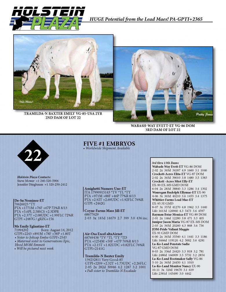 Datasheet for NOMINEE x Ms Emily Eglantine