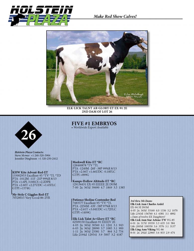 Datasheet for ADVENT x My-Style C Giggles-Red